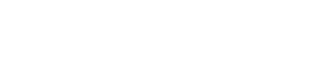 Wiz Engineering Group